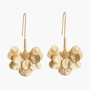 Bénéfices de Blooming Flower